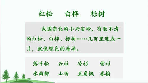 20.美丽的小兴安岭   课件