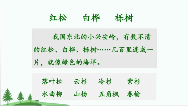20.美丽的小兴安岭   课件