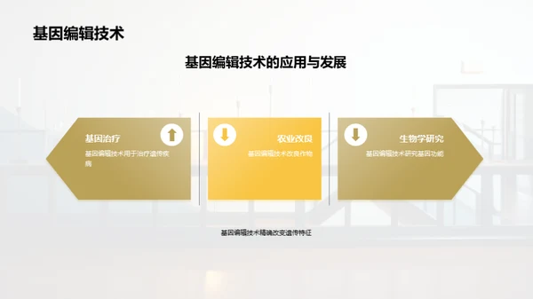 简约风其他行业教学课件PPT模板