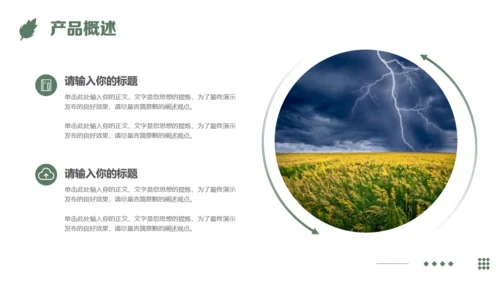 农业项目商业计划书通用PPT模板