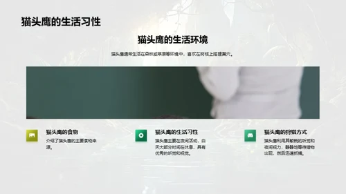 探秘动物世界