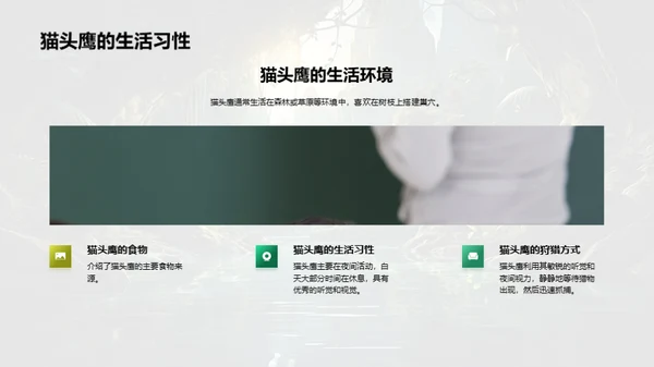 探秘动物世界