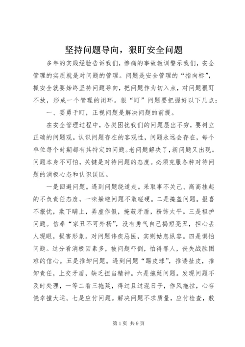 坚持问题导向，狠盯安全问题.docx