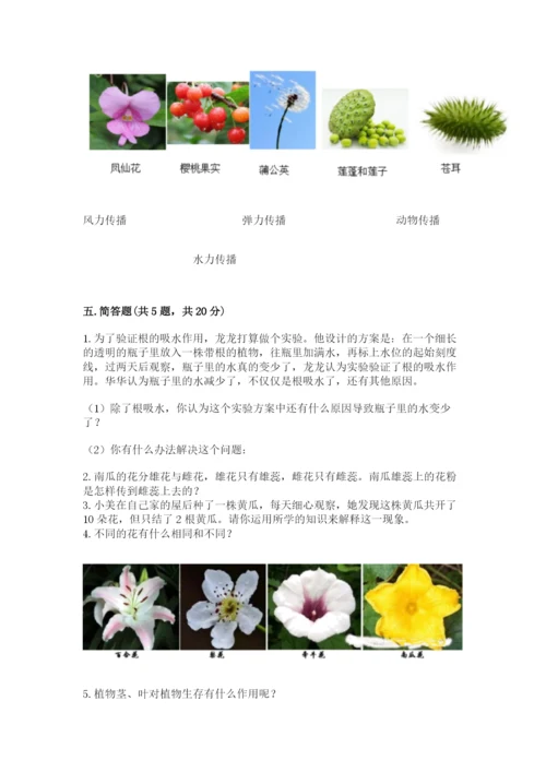 科学四年级下册第一单元《植物的生长变化》测试卷附完整答案【易错题】.docx