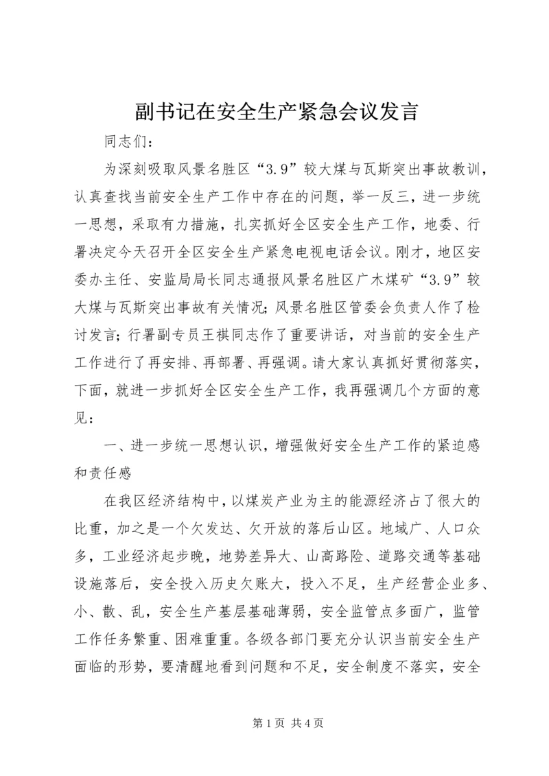 副书记在安全生产紧急会议发言.docx