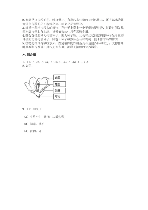 教科版四年级下册科学第一单元《植物的生长变化》测试卷精品（考点梳理）.docx