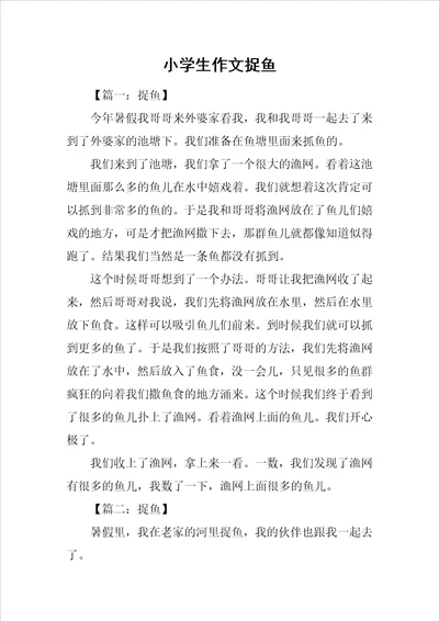 小学生作文捉鱼