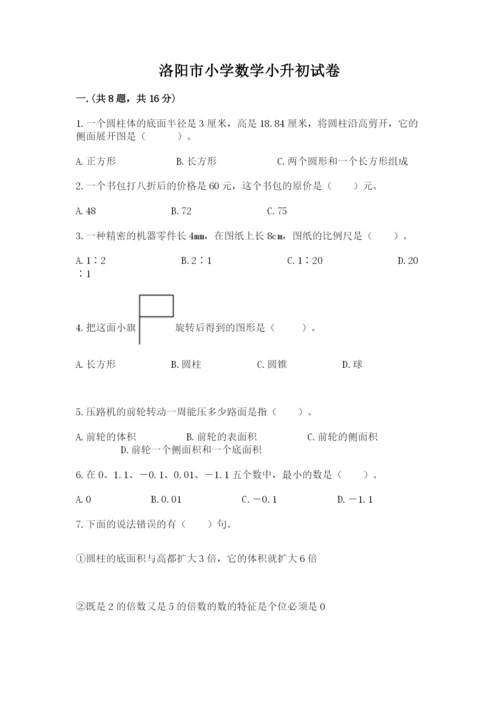 洛阳市小学数学小升初试卷【考点梳理】.docx
