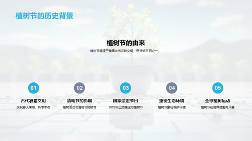 植树环保行动