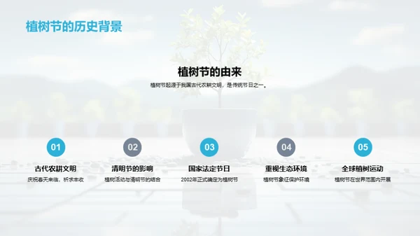 植树环保行动