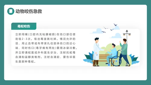 绿植风格日常急救知识PPT课件模板