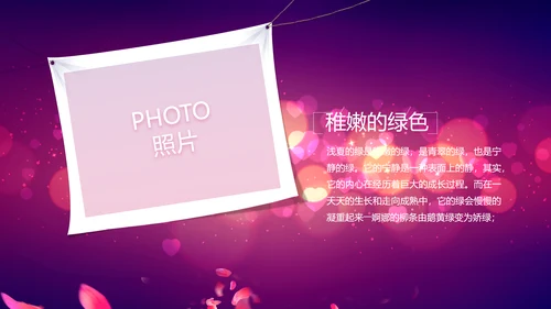 紫色唯美浪漫玫瑰花瓣生日快乐纪念册相册PPT