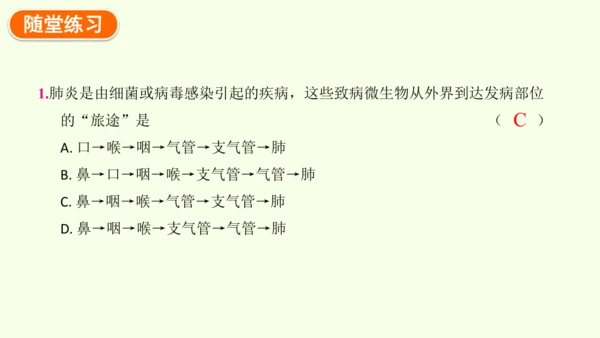 4.3.1 呼吸道对空气的处理-七年级生物下学期同步精品课件（2024人教版）(共26张PPT)
