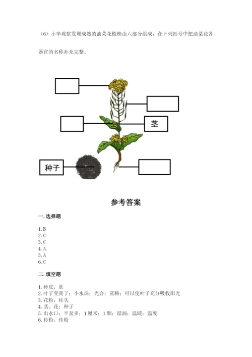 科学四年级下册第一单元植物的生长变化测试卷有完整答案.docx