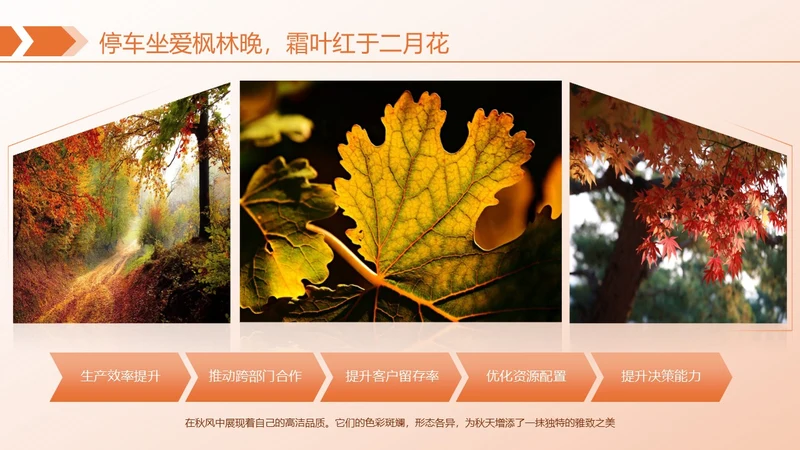 橙色简约风枫叶图文页