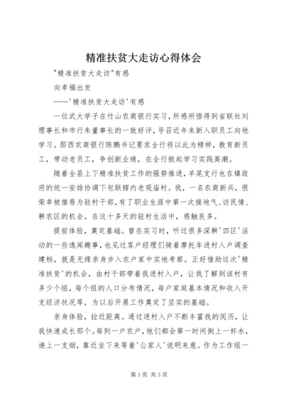 精准扶贫大走访心得体会_1.docx