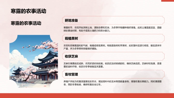 二十四节气寒露PPT模板