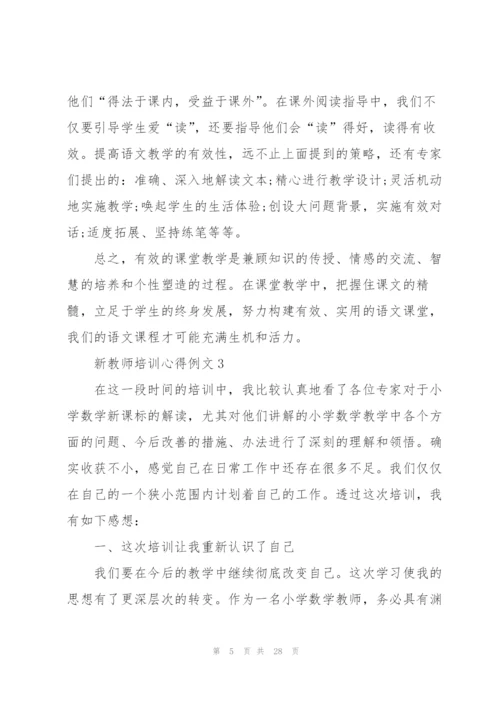 新教师培训心得例文10篇.docx