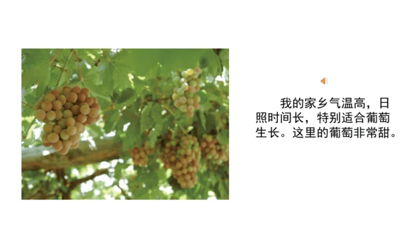 三下7 请到我的家乡来 第二课时 课件（78张PPT）含答疑
