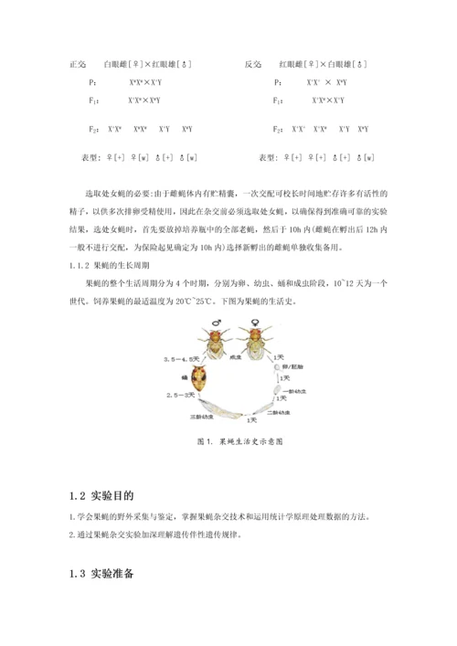 果蝇杂交、同工酶及分子标记系列分析实验-遗传学实验报告.docx