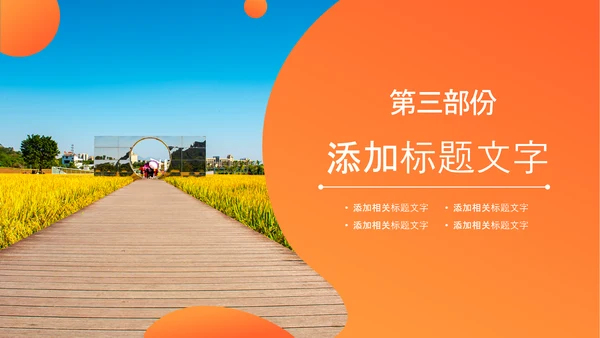 推动乡村振兴乡村新农村建设乡村旅游ppt
