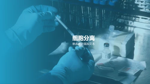 蓝色简约生物医疗研究报告PPT