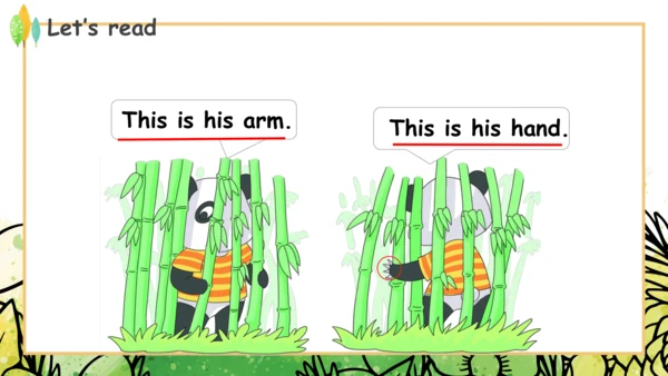 Module 10 Unit 1 This is his head  课件(共32张PPT)