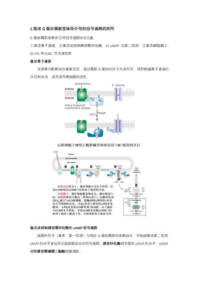 细胞生物学简答题整理(共18页)