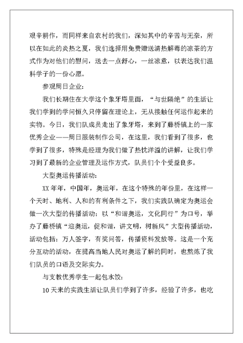 职业学院学生暑期社会实践总结