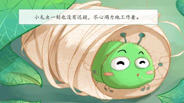 22《小毛虫》课件