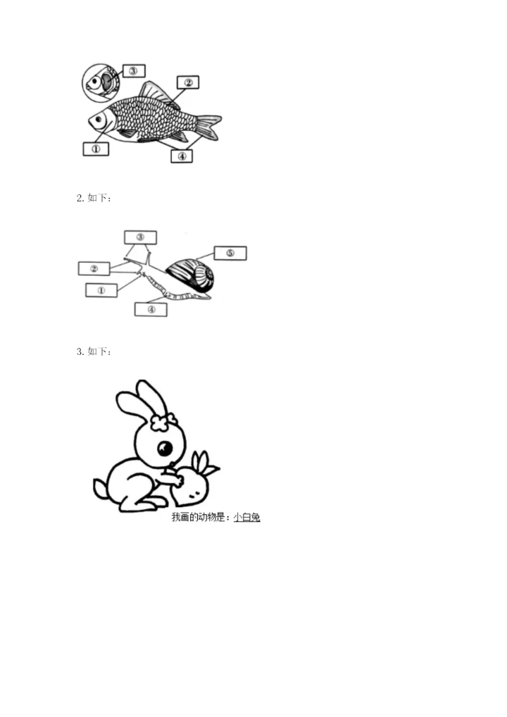 教科版一年级下册科学期末测试卷含完整答案【历年真题】.docx
