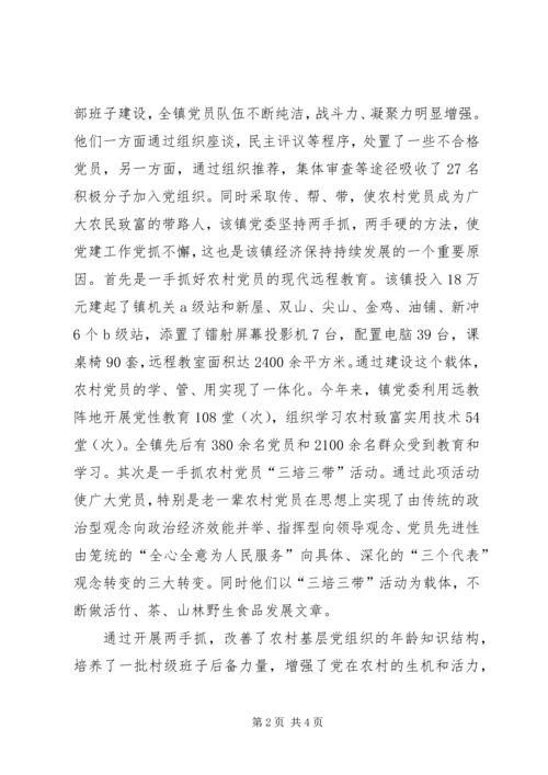 竹乡飞歌春来早——记羊楼司镇党委、政府 (2).docx