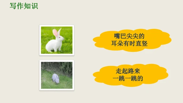 部编版八上语文第五单元写作《说明事物要抓住特征》课件
