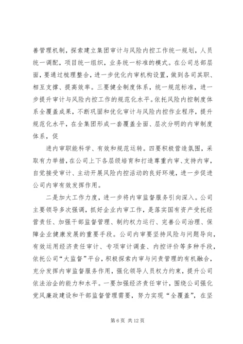 内审分管领导讲话(精).docx