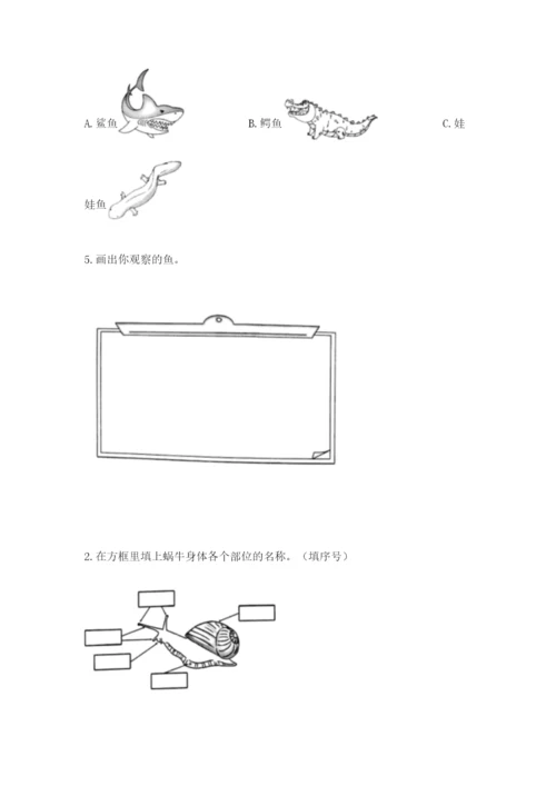 教科版小学科学一年级下册期末测试卷（轻巧夺冠）.docx