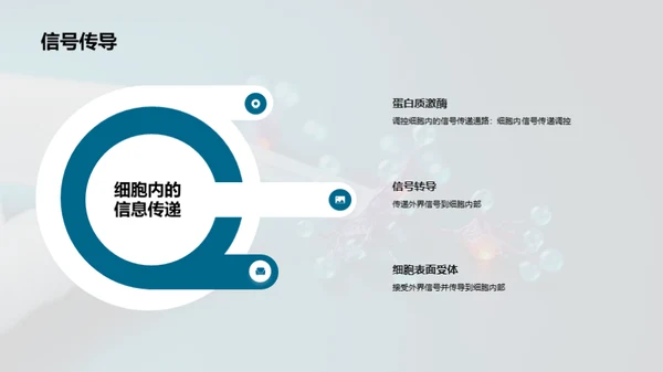 科技风生物医疗教学课件PPT模板