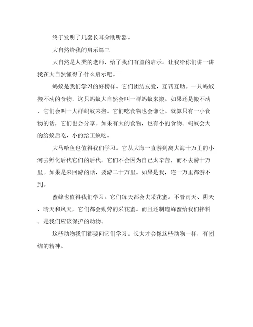 大自然给我的启示作文3篇