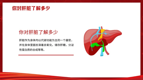 全国爱肝日远离肝硬化肝脏病乙肝通用PPT模板