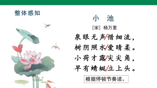 11古诗二首 小池  课件