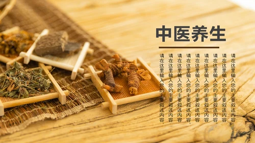 中医学中医院中医文化中草药PPT模板