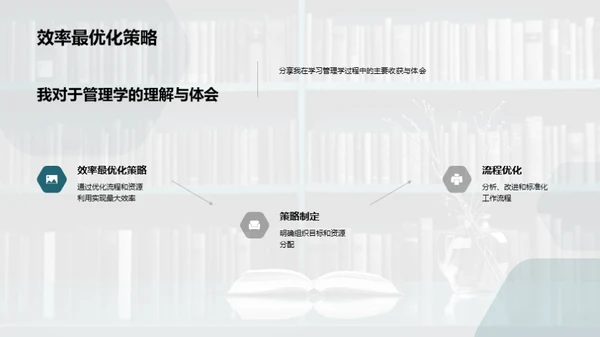 管理学探索之旅