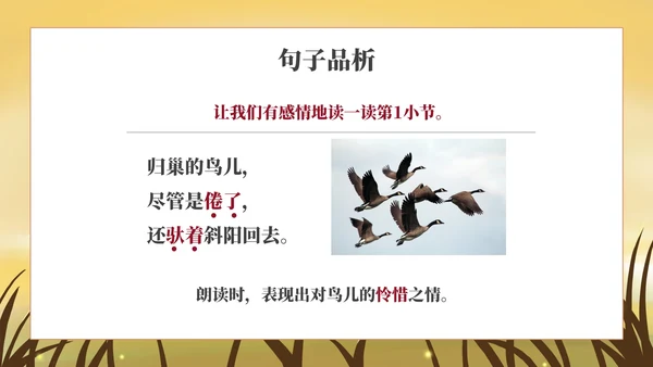 部编版四年级上册《秋晚的江上》