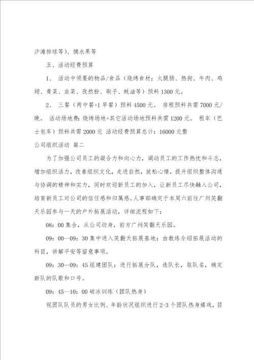 公司组织活动范文精彩3篇