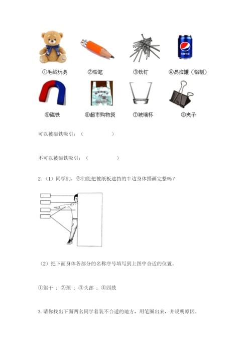 教科版小学科学二年级下册期末测试卷（考点精练）.docx