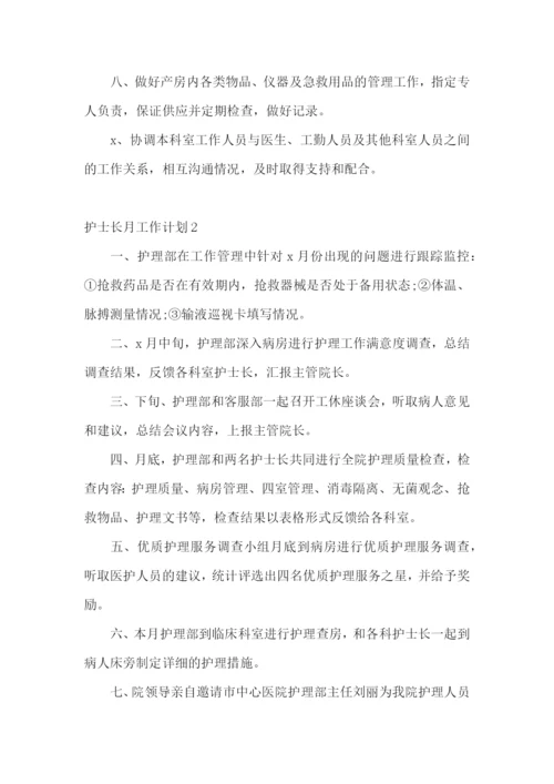 护士长月工作计划.docx