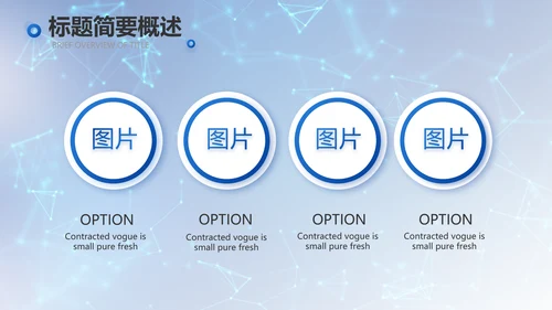 蓝色科技信息化建设工作总结PPT