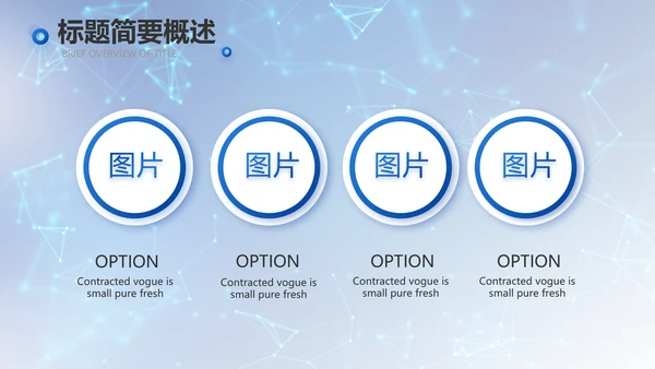 蓝色科技信息化建设工作总结PPT