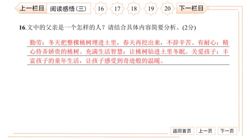 统编版八上语文第二次月考综合检测卷 习题课件（41张PPT）