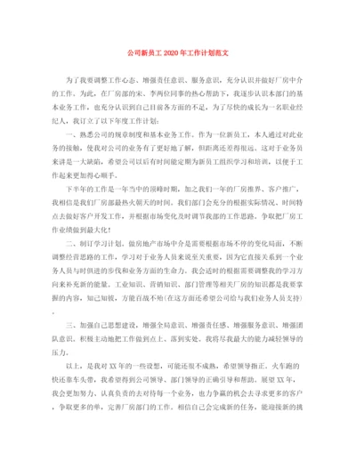 精编之公司新员工年工作计划范文.docx