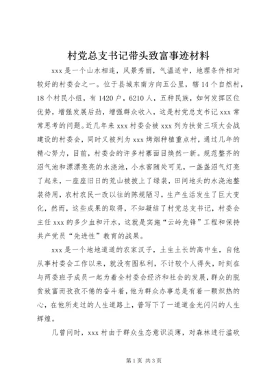 村党总支书记带头致富事迹材料.docx